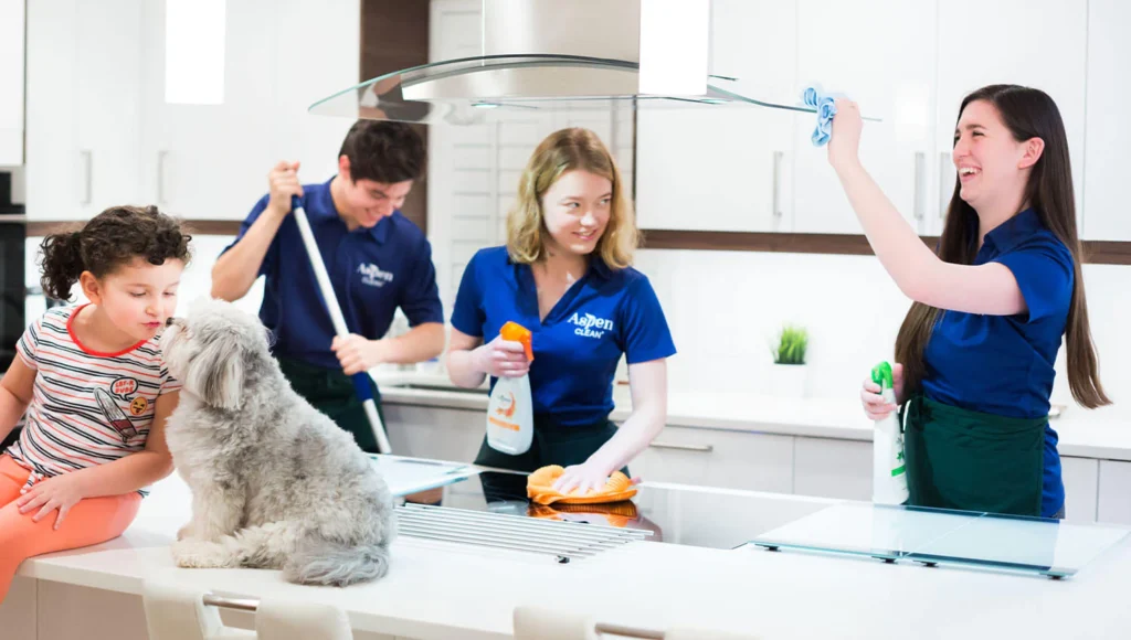 Seasonal Cleaning Service in Vancouver